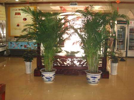 公司案例